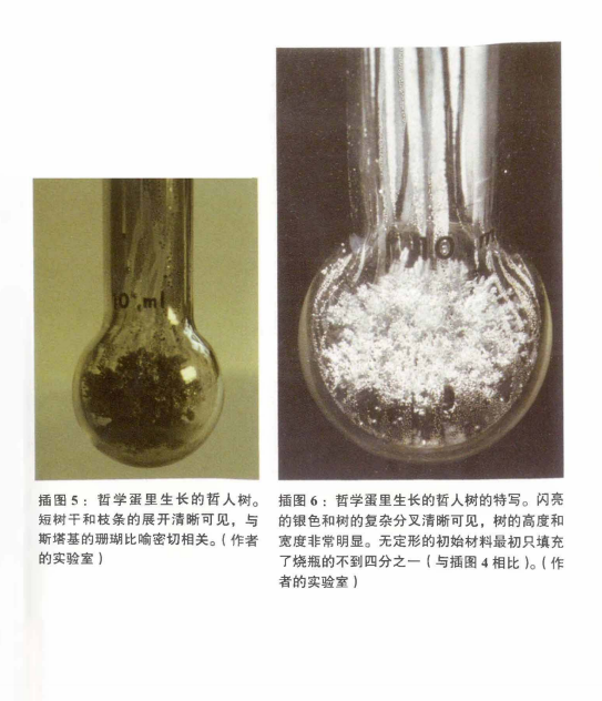 微信图片_20190708172934.png