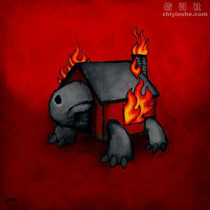 Home-(Tortoise).jpg