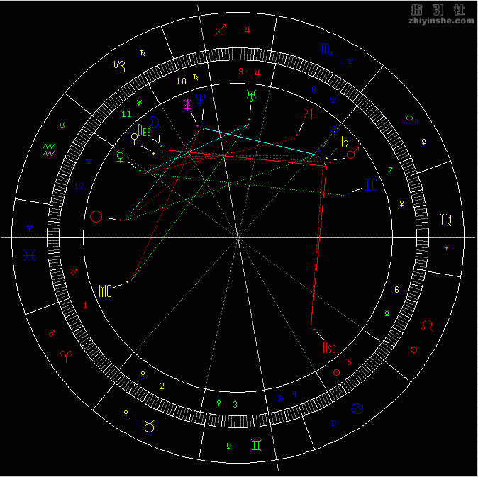 我的星,他的盘子